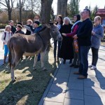 DSC08679-