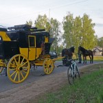 DSC02290-