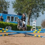 IMG_83874408604134